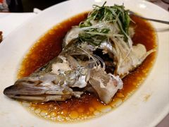 清蒸桂鱼-顺风海鲜港(金玉兰店)