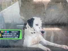 -观澜山水田园