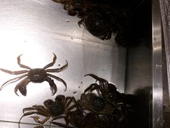 -欢乐牧场海鲜烤肉自助(牡丹园店)