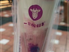 -一只酸奶牛(八一路店)