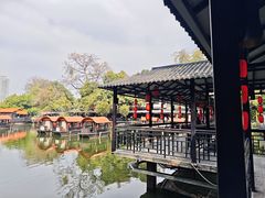 -侨美·唐荔园·40年地道粤菜