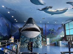 -多彩贵州城极地海洋世界