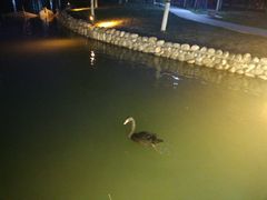 -陕西科技大学福慧图书馆