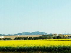 -光明小镇欢乐田园
