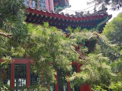 -宣武艺园