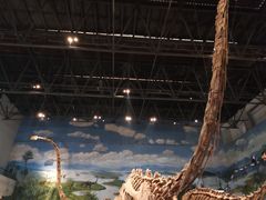 -自贡恐龙博物馆