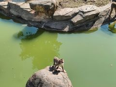 -广州动物园
