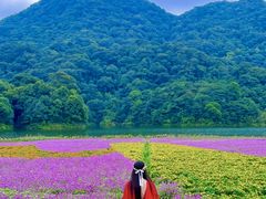 -广州市石门国家森林公园