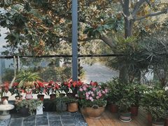 -恬阿姨庭院餐厅·生日宴