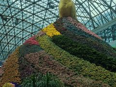 -花之城