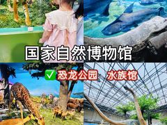 -国家自然博物馆