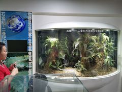 -中国第四纪冰川遗迹陈列馆