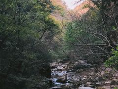 -九龙潭景区