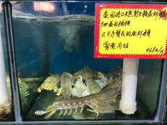 -蚝专家(北滘店)