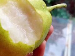 -西郊国际农产品交易中心