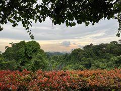 -花柏山公园