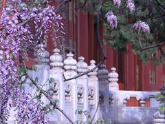 -北京国子监胡同