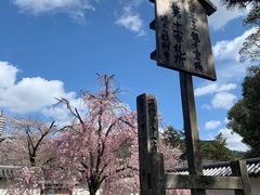 -醍醐寺