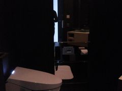toto电子马桶-上海柏悦酒店