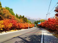 -白草畔自然风景区