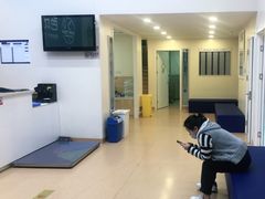 -芭比堂动物医院·CT·微创中心(新顺分院)