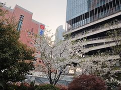 -美罗城