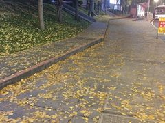 -百林公园-两江幸福广场