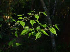 -七娘山