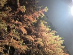 -秀沿路(地铁站)