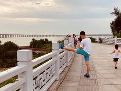 -宝安西湾红树林湿地公园