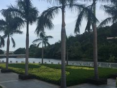 -厦门国家会计学院