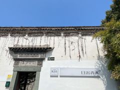 -日出青木
