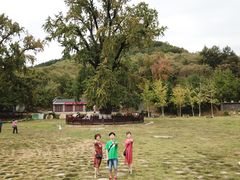 -千年银杏谷文化旅游区