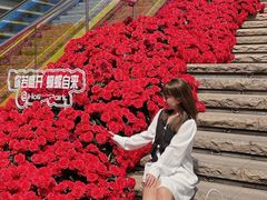 -万科生活广场(东莞松山湖店)