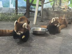-柳州市动物园