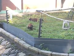 -哈尔滨北方森林动物园