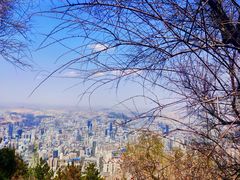 -兰山公园