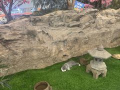 -赛格国际购物中心(小寨店)
