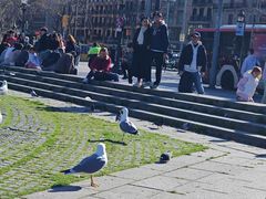 -加泰罗尼亚广场