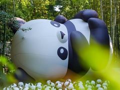 -杭州植物园