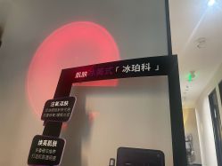 -玛莲朵·海菲秀冰珀科