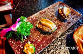 Deep-Sea Twelve-Head Abalone