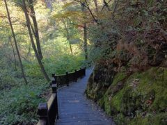 -天女山森林公园