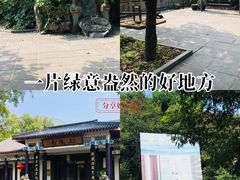 -句容茅山景区