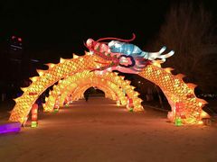 -沈阳奥体冰雪嘉年华