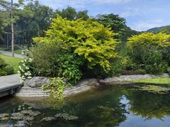 -云溪植物园