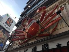 门面-蟹道乐(道顿堀本店)
