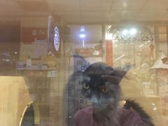 -宝鸡东道花鸟鱼虫市场(吉利花园商场店)