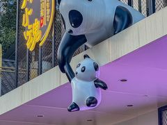 -嫩芽 ·地道重庆菜(十八梯露台夜景店)