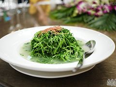 浓汤松柳苗-苏浙总会(国金中心店)